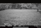 986 Franklin Hill Rd - Photo 55