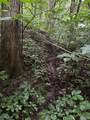 986 Franklin Hill Rd - Photo 60