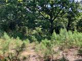 1 off Bollinger County 908 - Photo 7