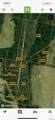 TBD County Road 355 - Photo 2