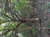 18759 Maries Road 308 - Photo 64