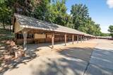 12952 Bryce Canyon Drive - Photo 28