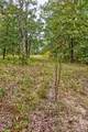 26049 Ivy Bend Rd - Photo 13