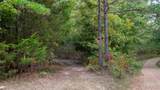 000 County Road 137 - Photo 23