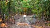 000 County Road 137 - Photo 24