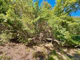 2158 Lake Sherwood Drive - Photo 2