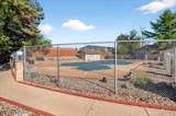 10140 Sakura Drive - Photo 31