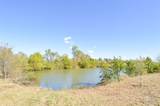 5433 Kraft Road - Photo 11