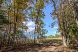 207 Good News Lane - Photo 40