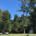 1082 County Road 349 - Photo 4