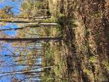 0 County Road 197 - Tract 3 (5+/- Acres) - Photo 13