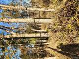 0 County Road 197 - Tract 3 (5+/- Acres) - Photo 14