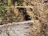 0 County Road 197 - Tract 3 (5+/- Acres) - Photo 18