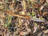 0 County Road 197 - Tract 3 (5+/- Acres) - Photo 6
