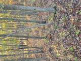 0 County Road 197 - Tract 3 (5+/- Acres) - Photo 8