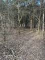 22+/-acres Highway A And Broadmoor - Photo 13