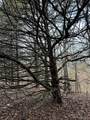22+/-acres Highway A And Broadmoor - Photo 15