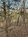 22+/-acres Highway A And Broadmoor - Photo 18