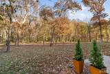 6450 Timber Lane Drive - Photo 47