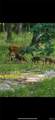 1835 Rock Springs Road - Photo 33