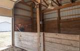 6246 Highway 32 - Photo 51