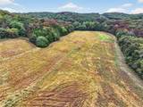 10+/-AC Lot1 Circle Acres Drive - Photo 12
