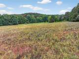 10+/-AC Lot1 Circle Acres Drive - Photo 17