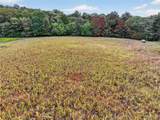 10+/-AC Lot1 Circle Acres Drive - Photo 19