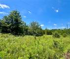 14.57 Acres Red Oak Road - Photo 7