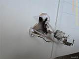 519 Rawlings - Photo 50