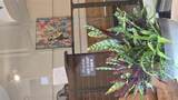 210 17th Street - Photo 5