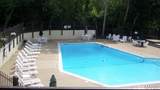 12069 Autumn Lakes Drive - Photo 41