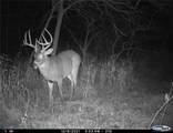 13285 Us Hwy 45 - Photo 64