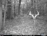 13285 Us Hwy 45 - Photo 65