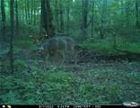 13285 Us Hwy 45 - Photo 66