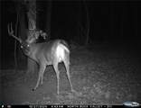 13285 Us Hwy 45 - Photo 68