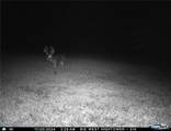 13285 Us Hwy 45 - Photo 70