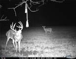 13285 Us Hwy 45 - Photo 72