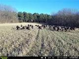 13285 Us Hwy 45 - Photo 98