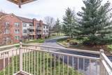 12929 Portulaca Drive - Photo 4