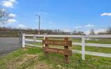 5569 Baronridge Drive - Photo 26