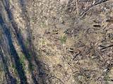 000 South Fork Rd. - Photo 7