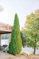 1541 Lakeshore Drive - Photo 11