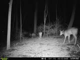 1752 Bluff Road - Photo 38