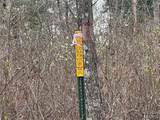 000 Wayne County Road 410 - Photo 8
