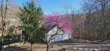 1497 Lake Sherwood Drive - Photo 3