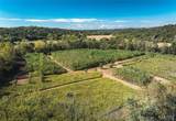 TBD Hunting Club Road - Photo 13