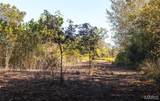 TBD Hunting Club Road - Photo 18