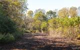 TBD Hunting Club Road - Photo 19
