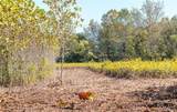 TBD Hunting Club Road - Photo 21